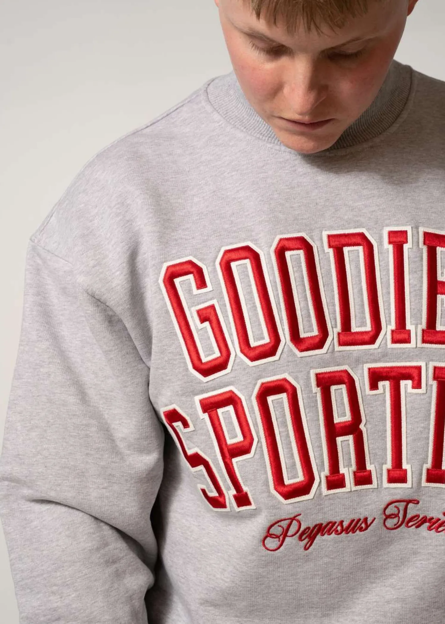 Goodies Sportive Baseball Grey Crewneck