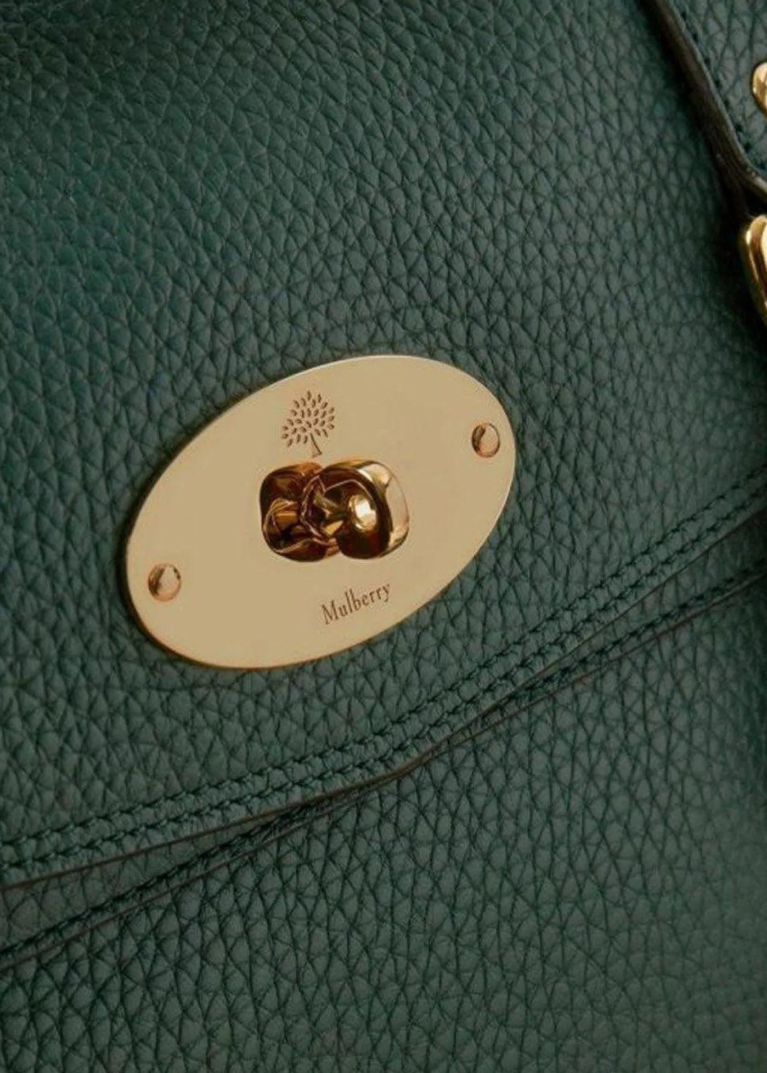 Mulberry Alexa Heavy Grain