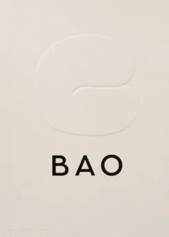 New Mags Bao