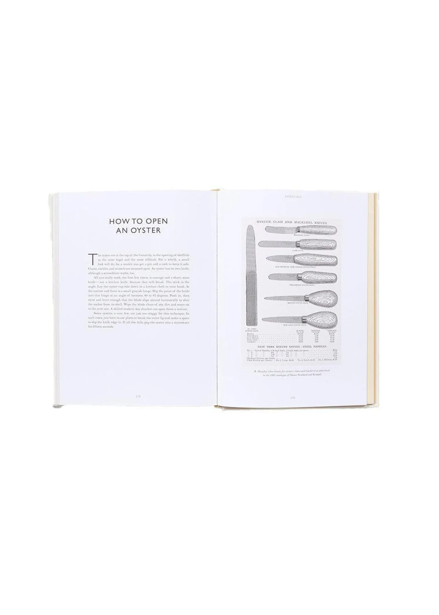 New Mags Oyster: A Gastronomic History