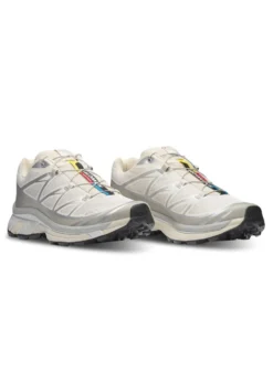 Salomon XT-6