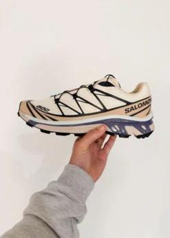 Salomon XT-6