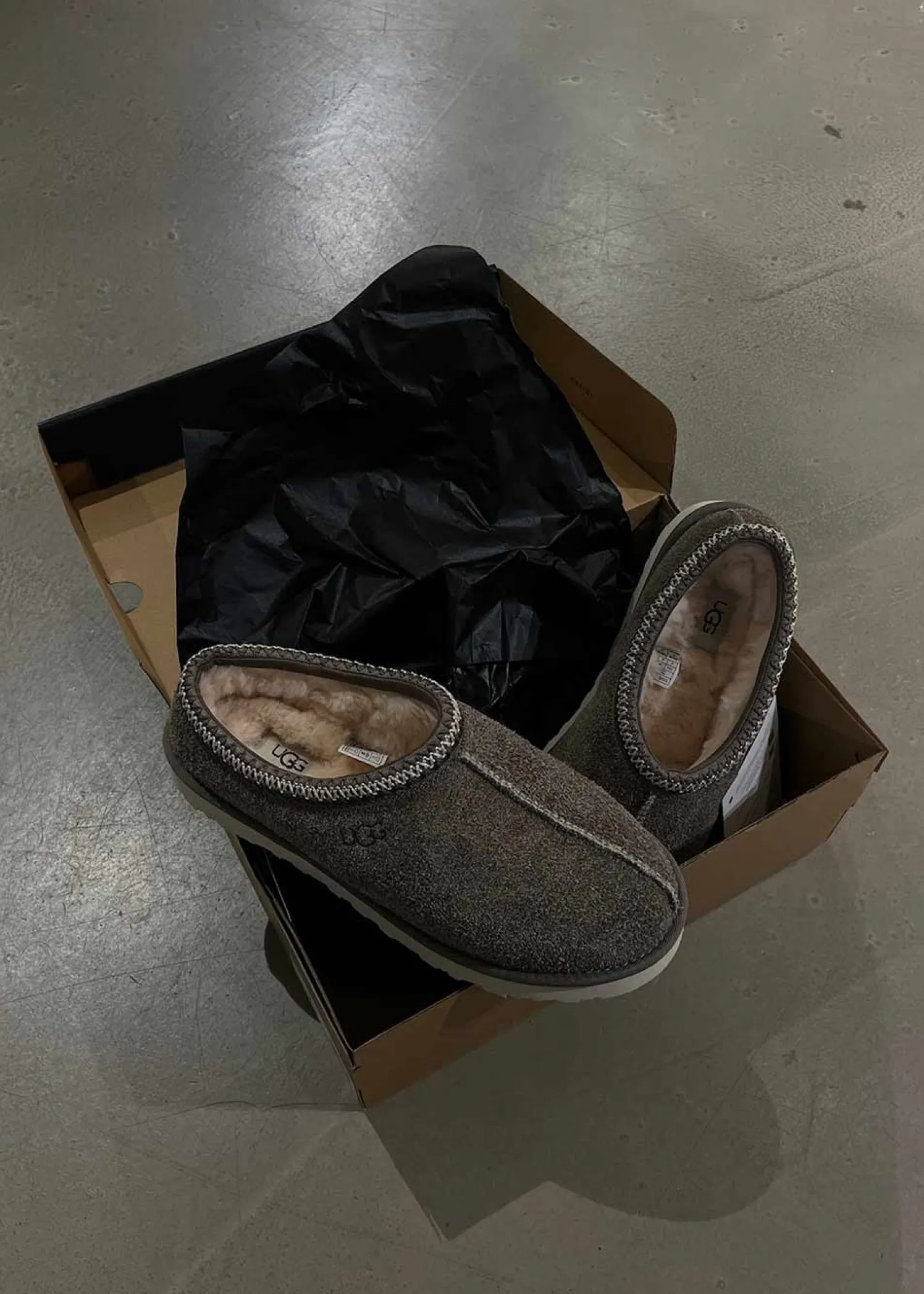 UGG M Tasman Shaggy Sued